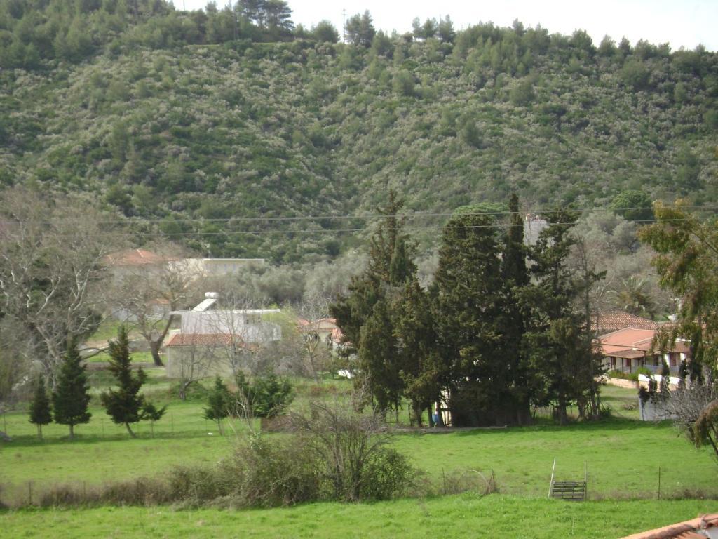 Aspa Victoria Troulos Bagian luar foto